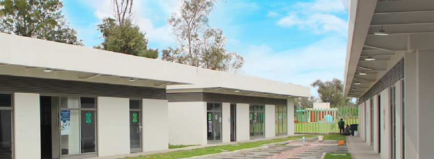 Venustiano Carranza II